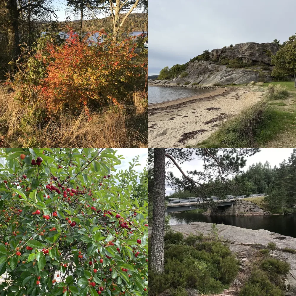 Nature and Scenic Views