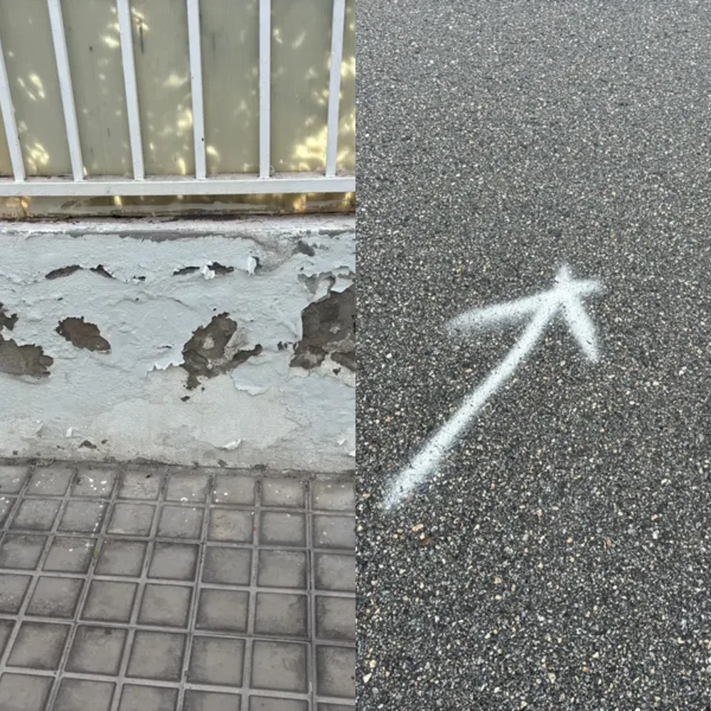 Outdoor Patterns