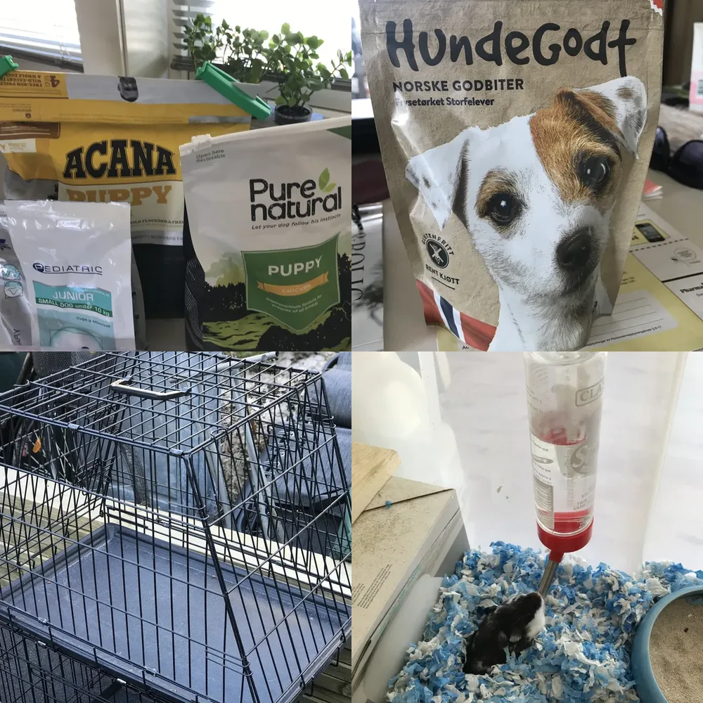 Pet Supplies