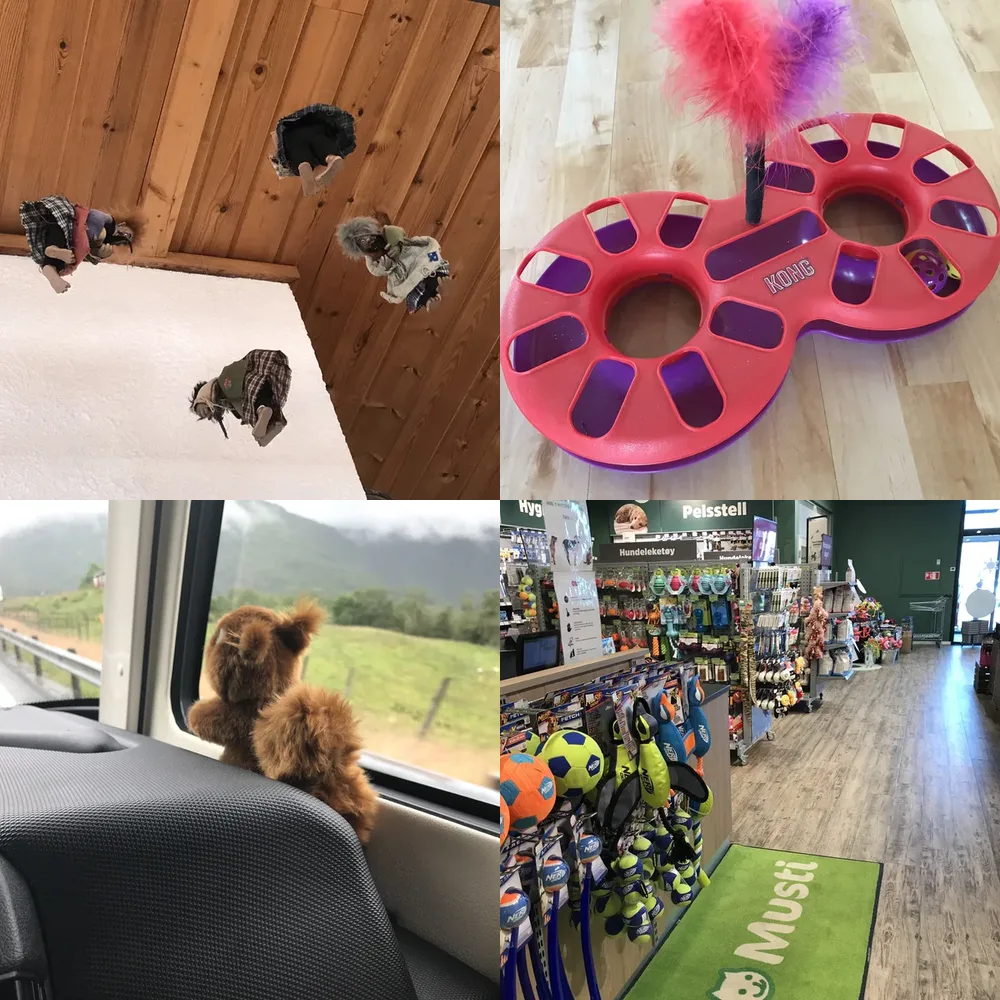 Toys and Collectibles
