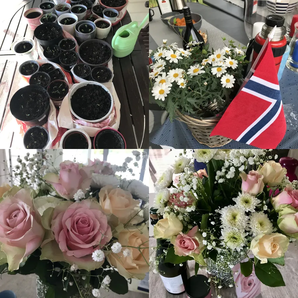Flower Arranging