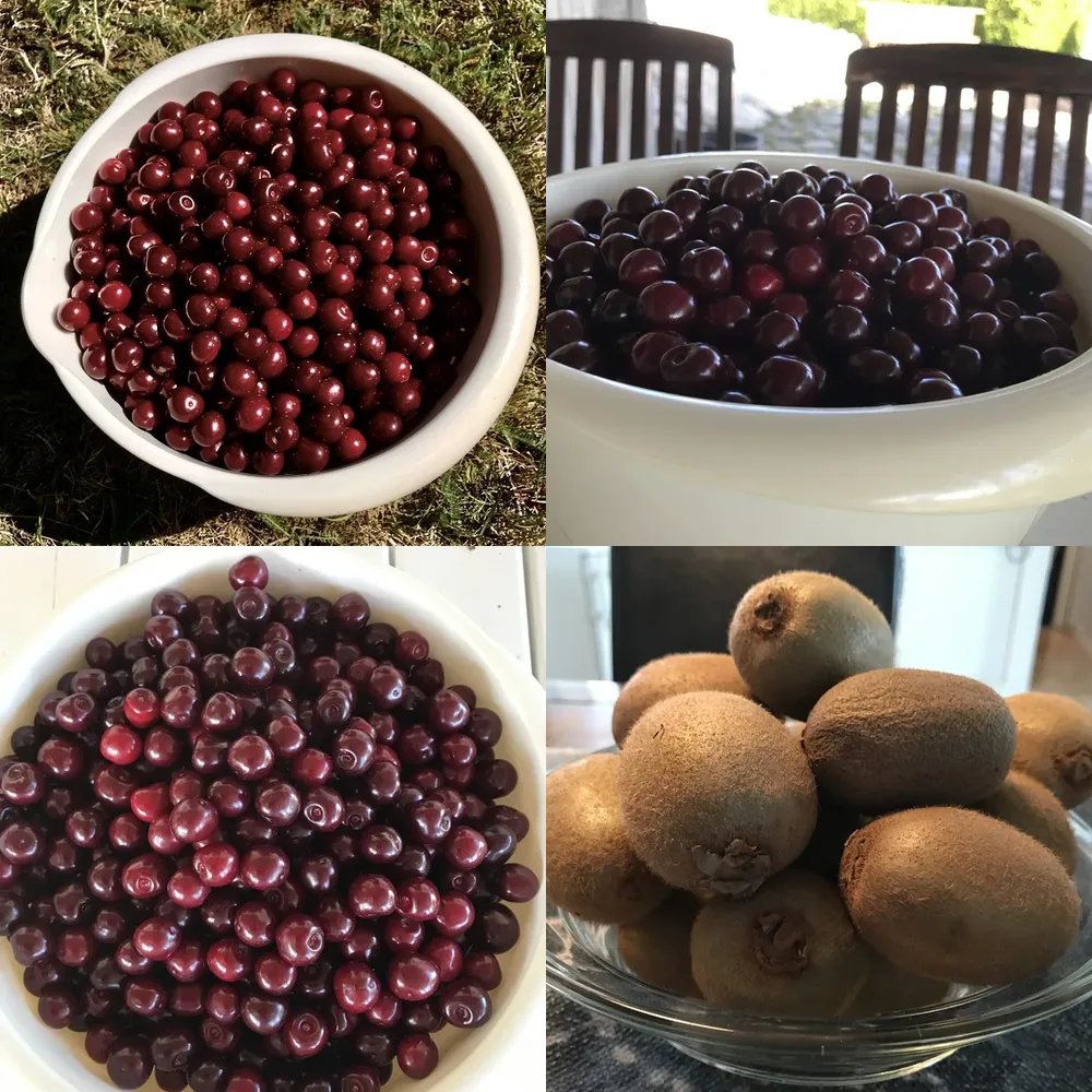 Fresh Fruits