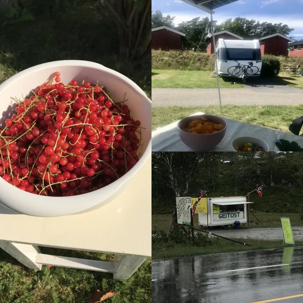 Outdoor Food Scenes