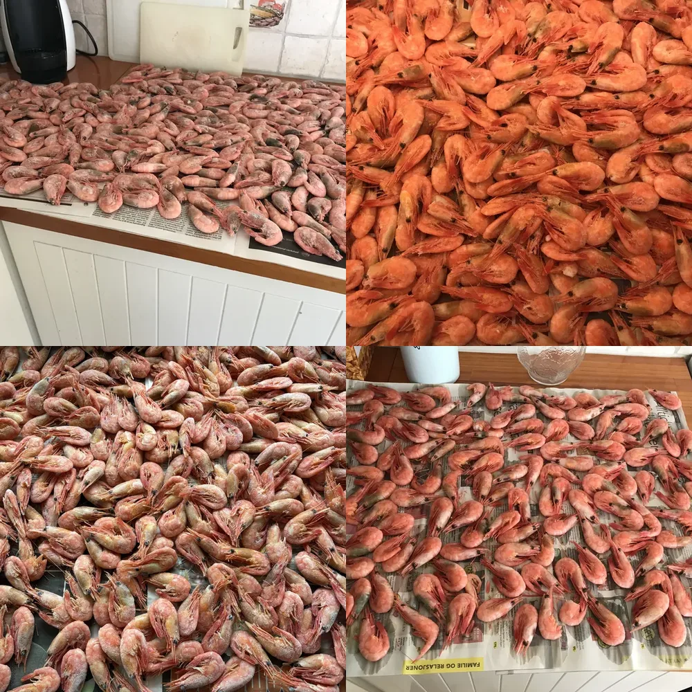 Seafood Market