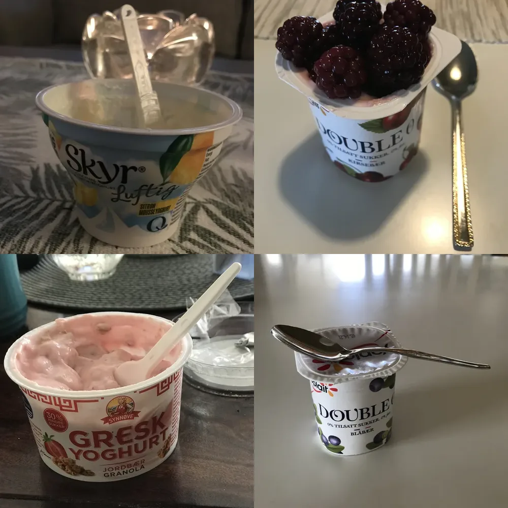 Yogurt and Specialty Dishes