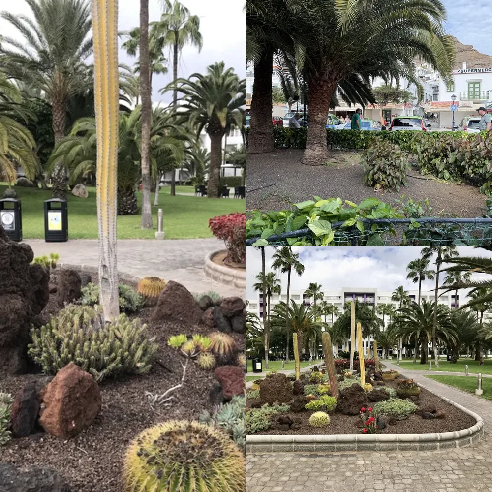 Botanical Gardens