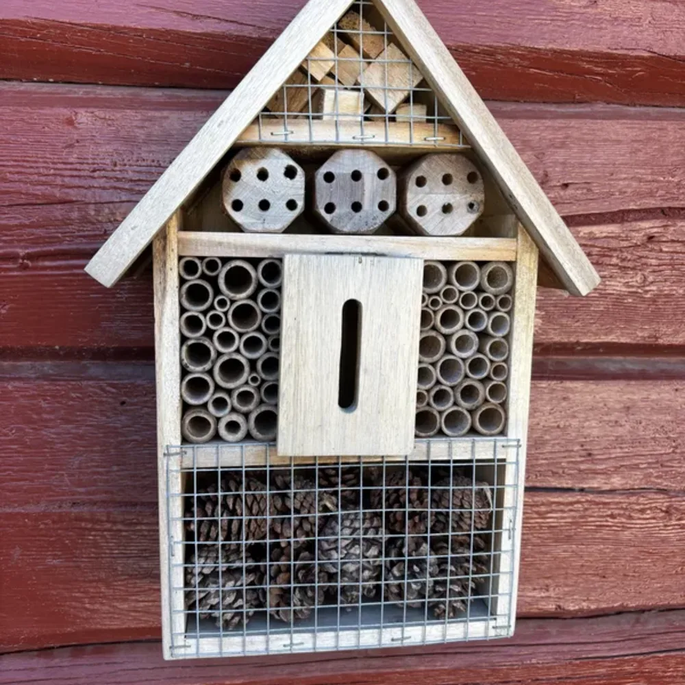 Insect Houses and Decor