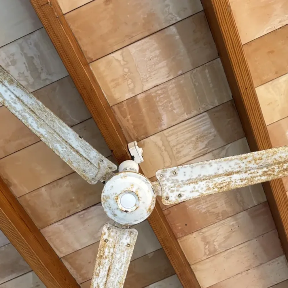 Ceiling Fixtures