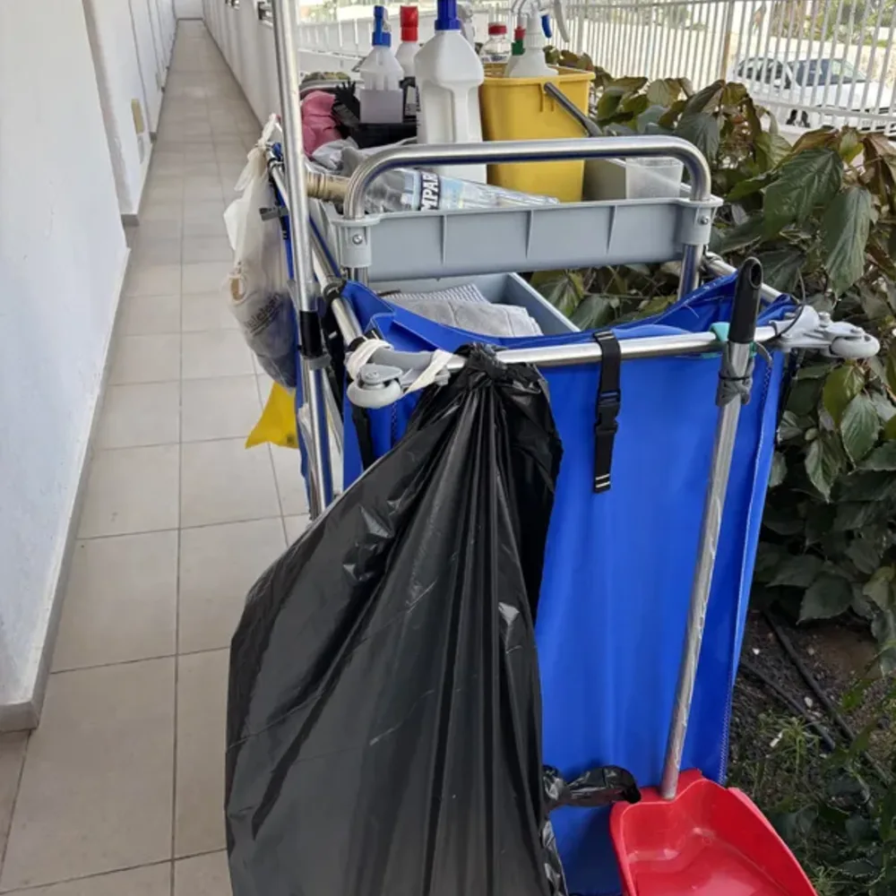 Cleaning Carts