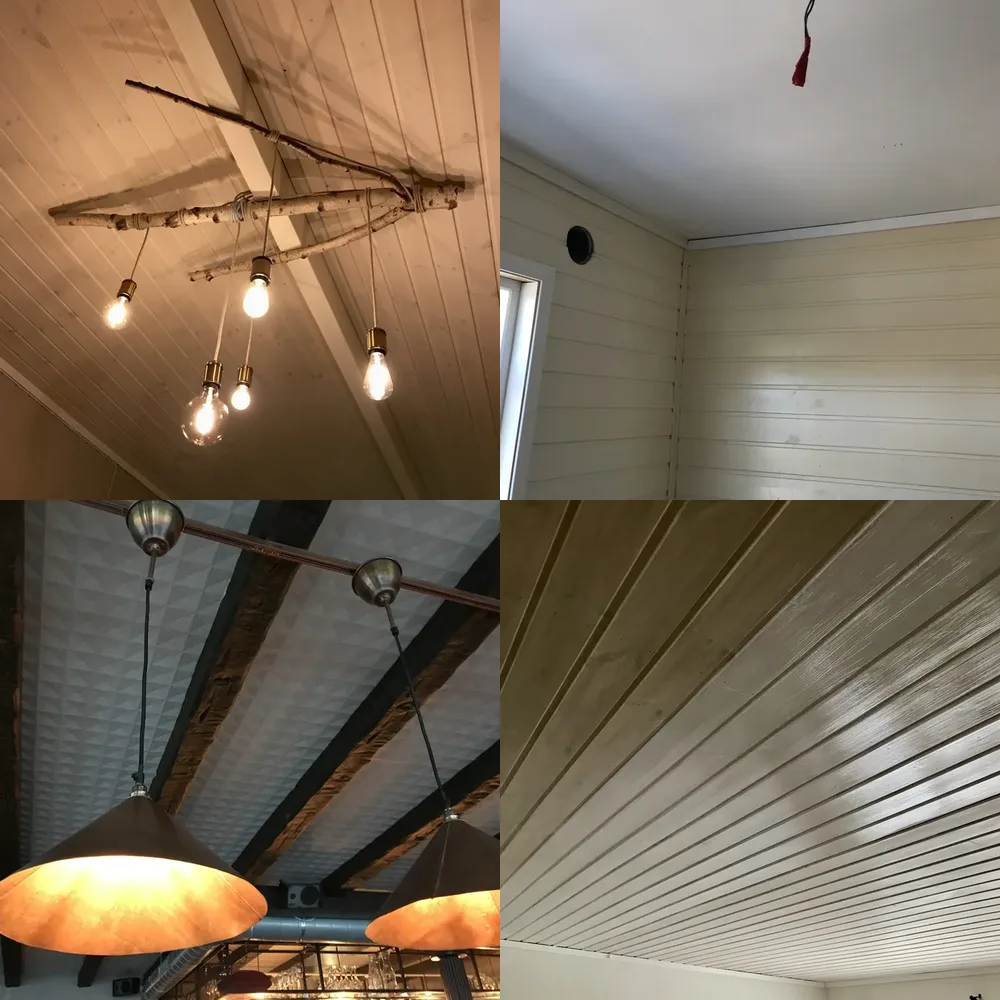 Ceilings and Moldings