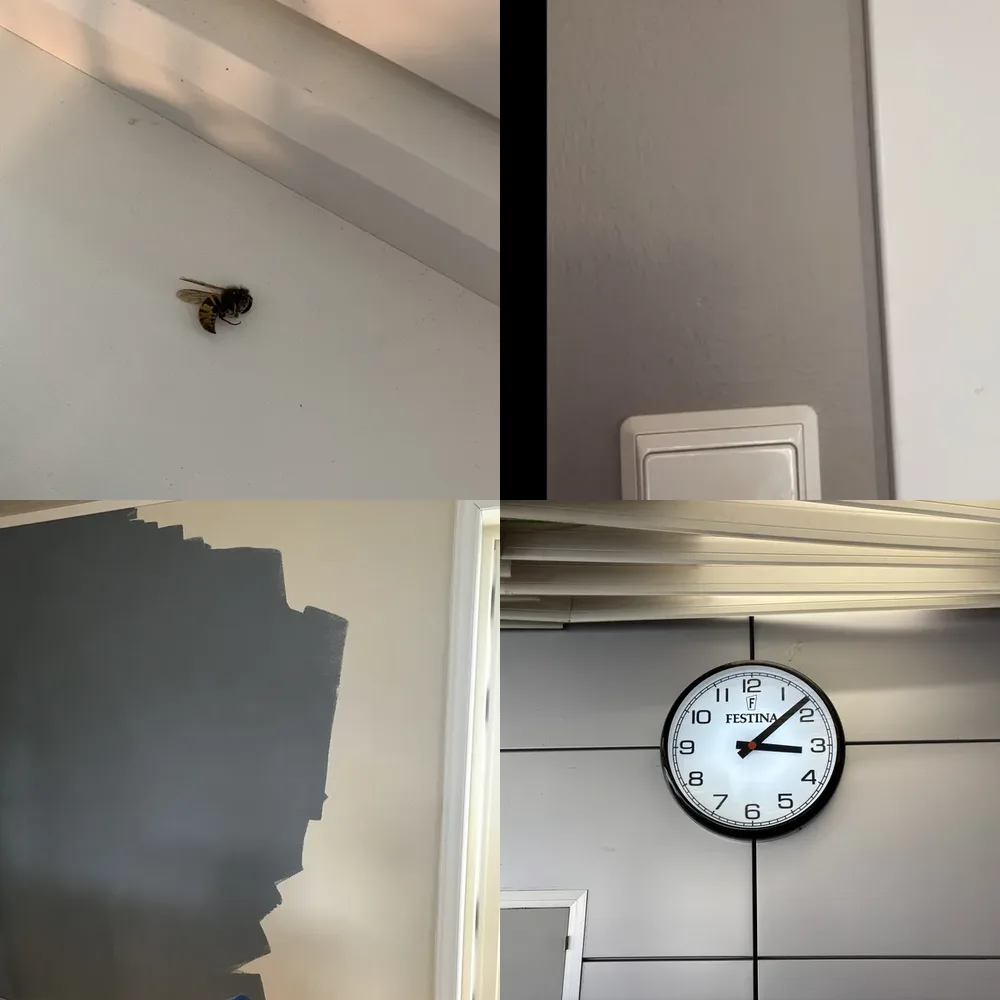 Miscellaneous Walls