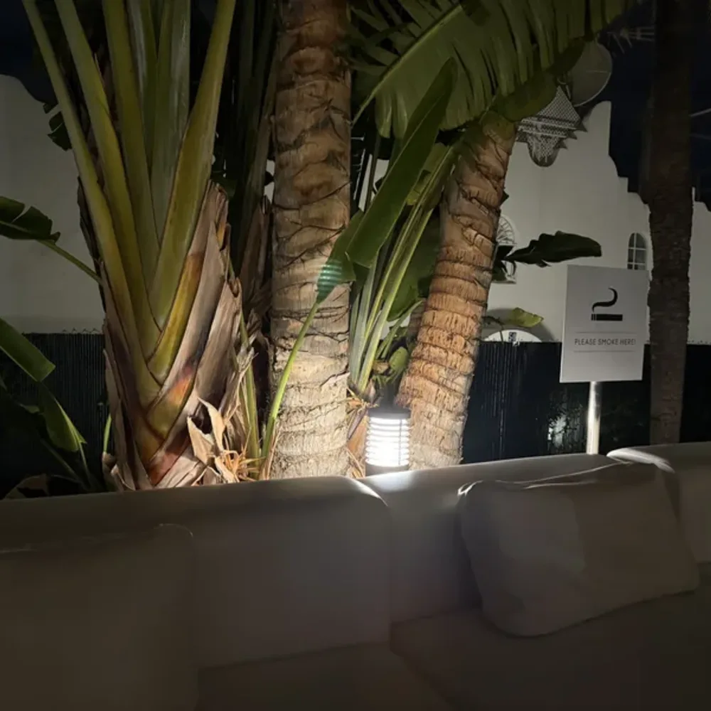 Nighttime Interiors