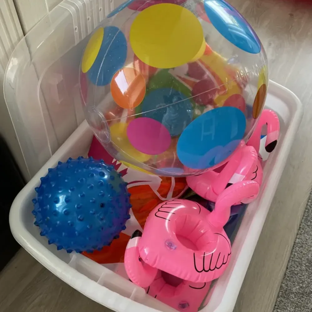 Playroom and Toy Storage