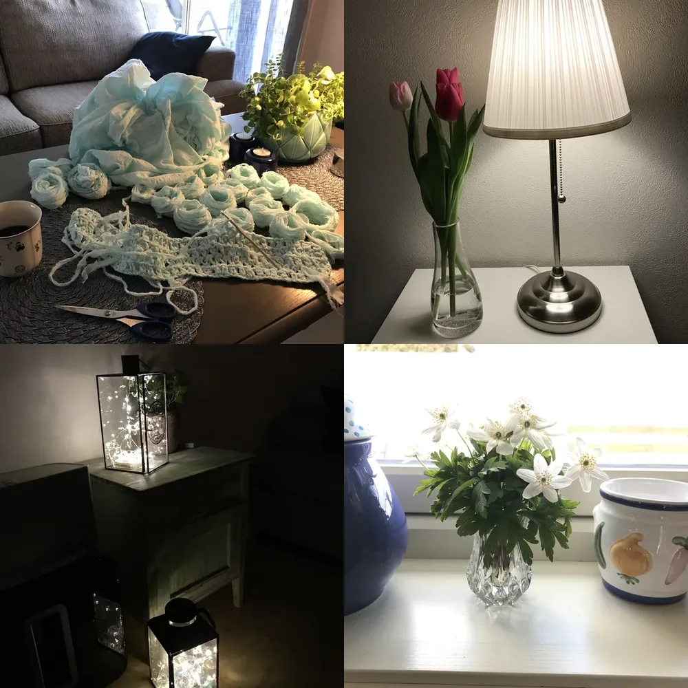 Still Life Scenes