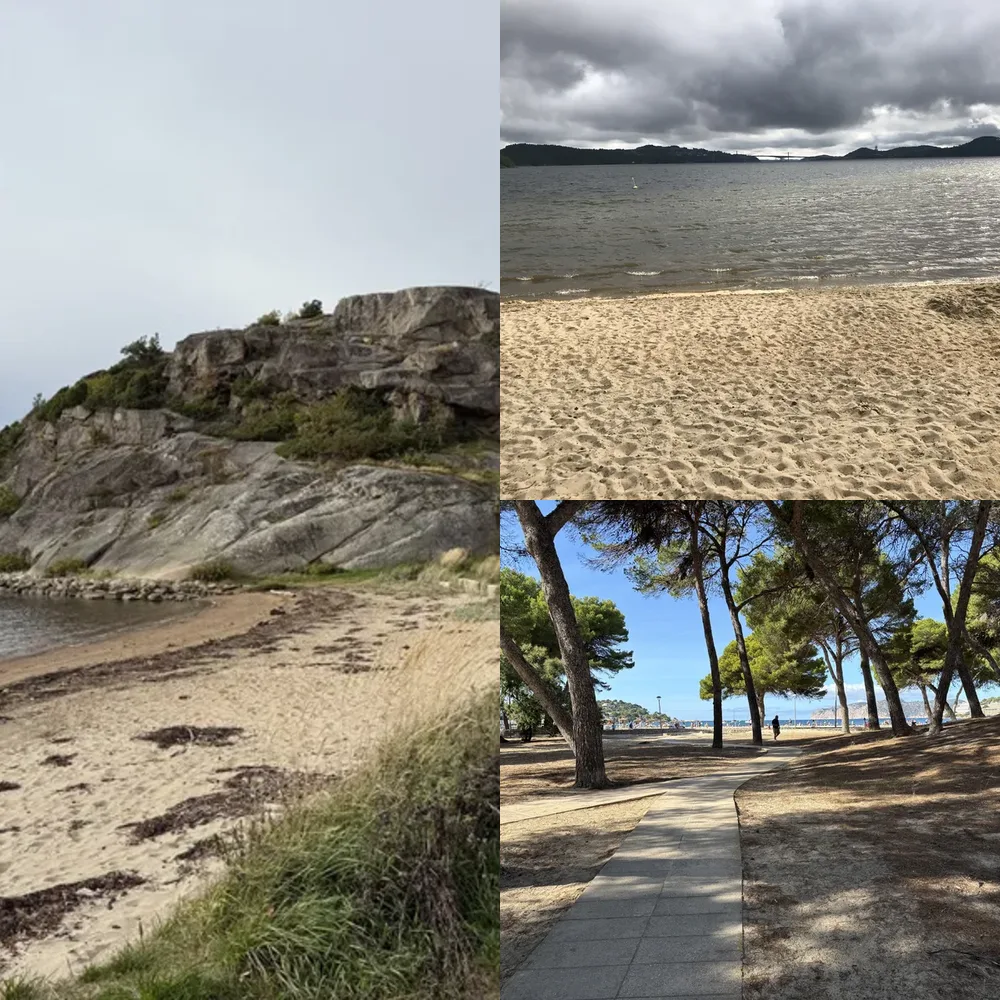 Beach Vistas