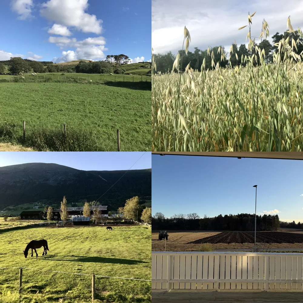 Countryside and Farmlands