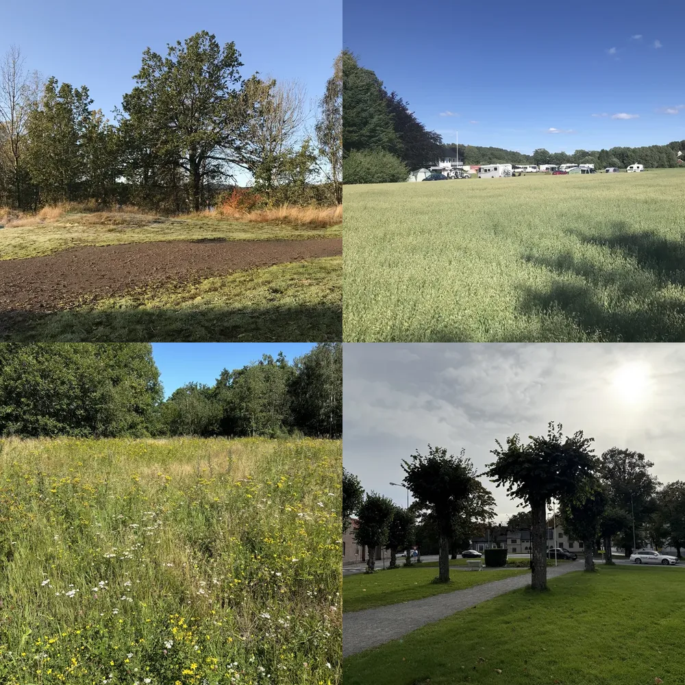 Fields and Trees