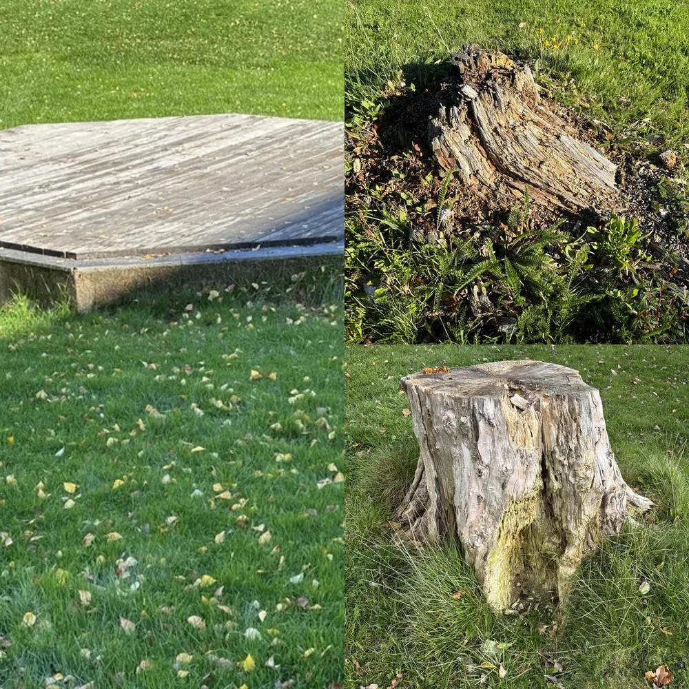 Grasslands and Parks