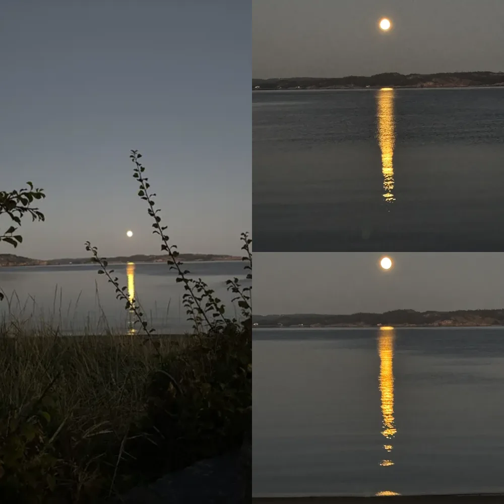 Moonlit Water Views
