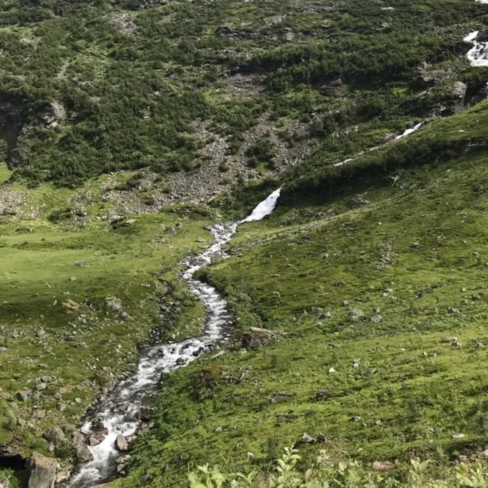 Mountain Streams