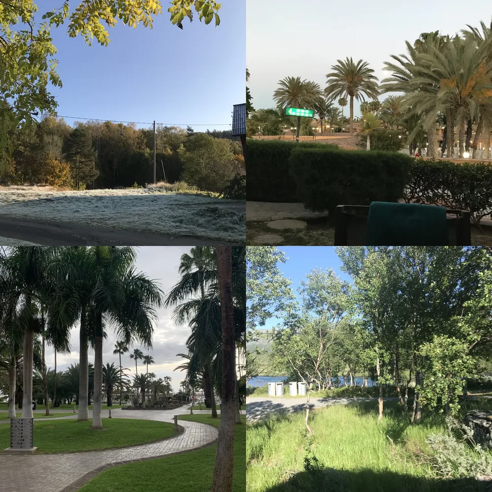 Park and Greenery