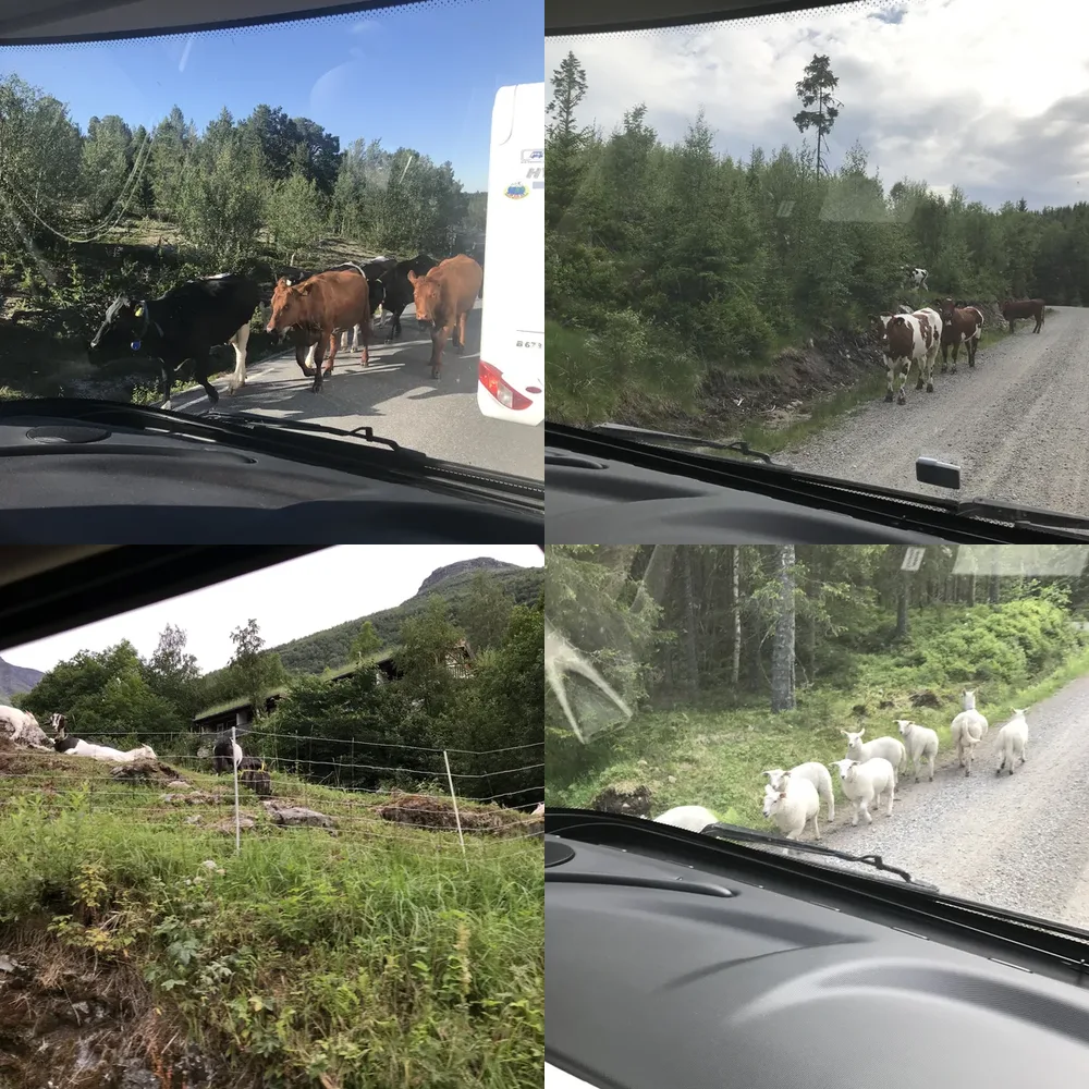 Pastoral Scenes
