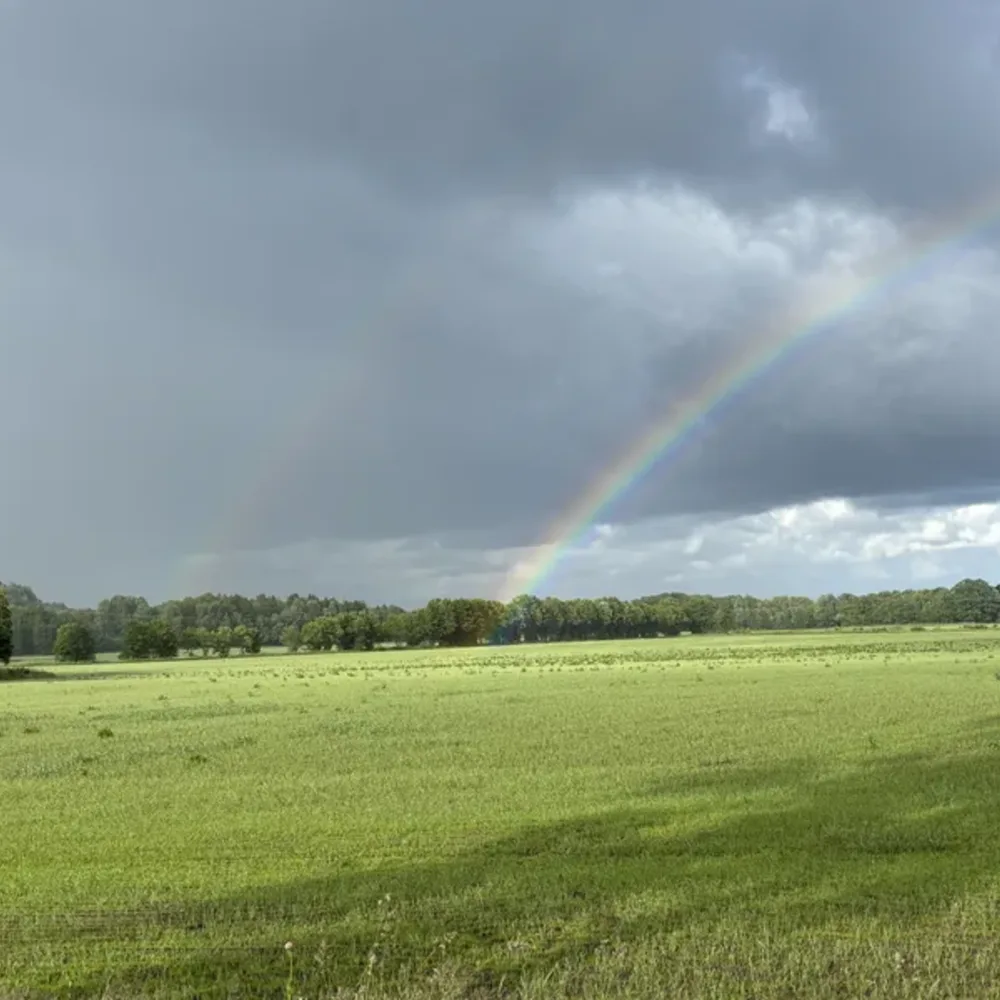 Rainbow Scenes