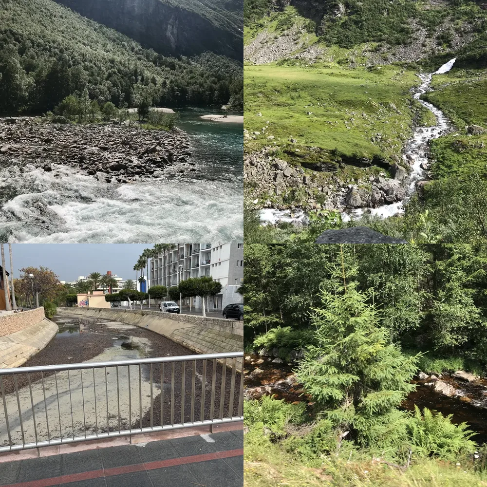 River and Forest Scenes