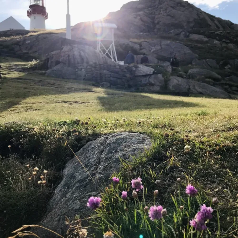 Rock and Lighthouses