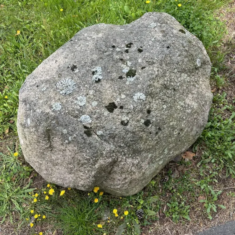 Rocks and Grass