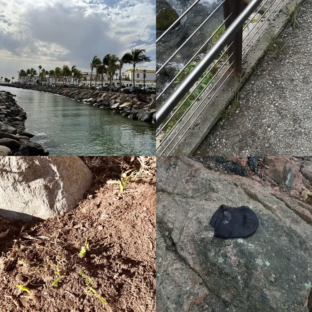Rocks and Landscape