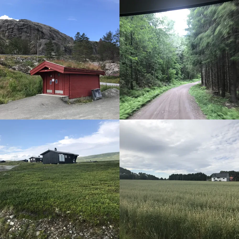 Rural Landscapes