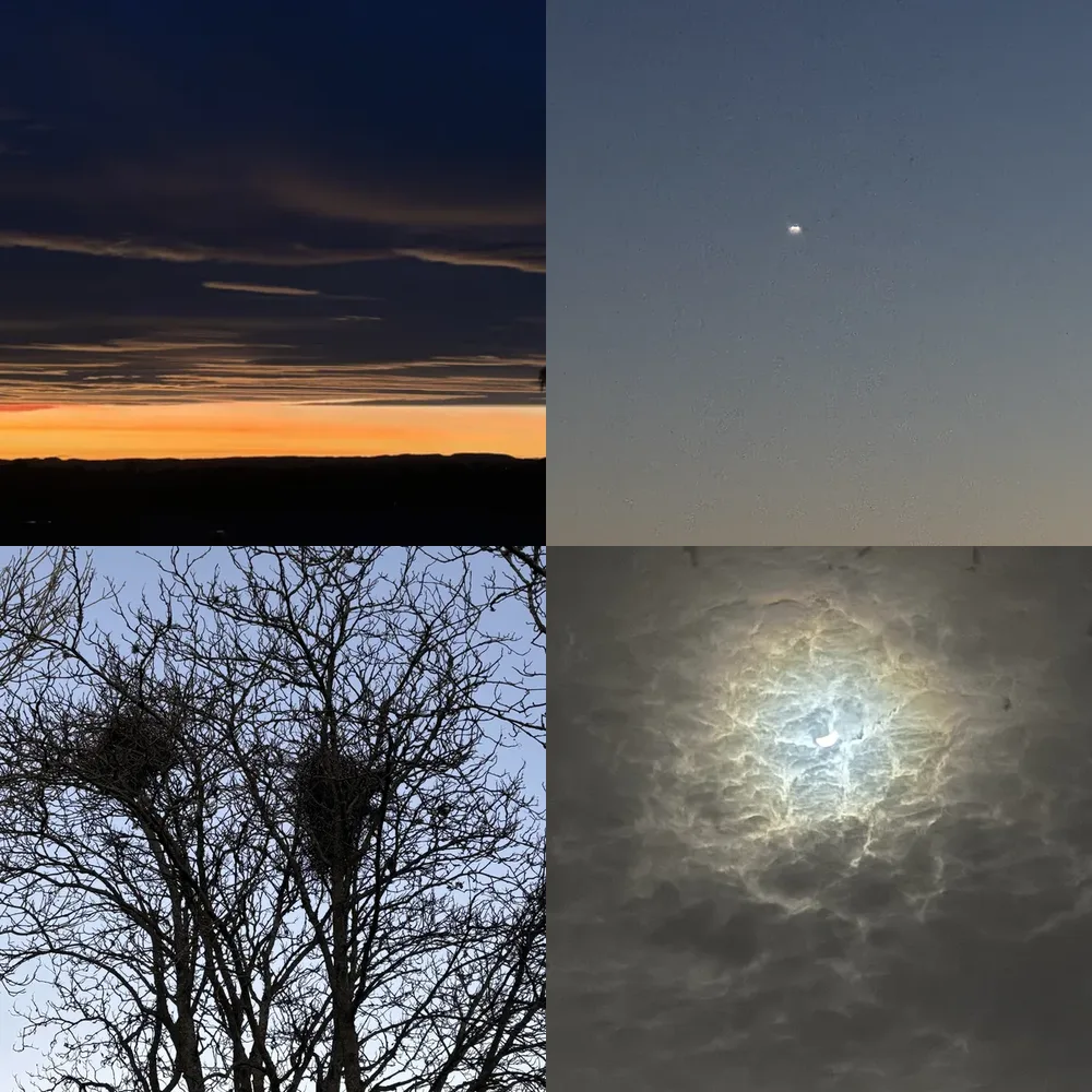 Silhouettes and Skies