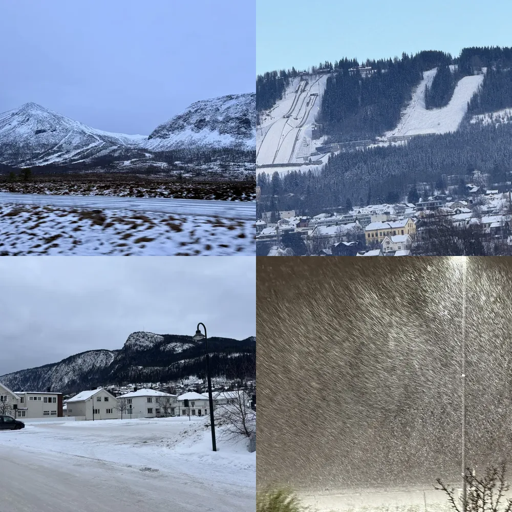 Snowy Landscapes