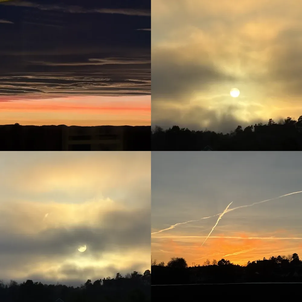 Sunrise and Sunset Trees