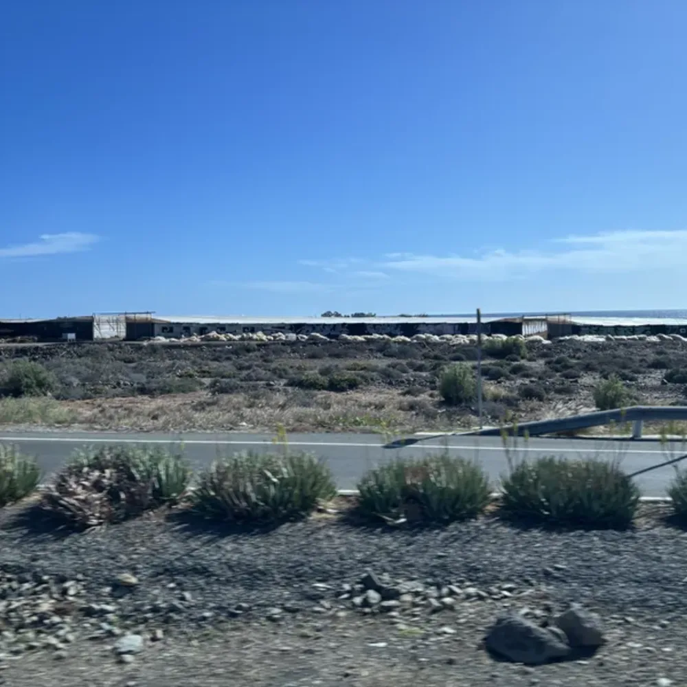 Trains and Roads