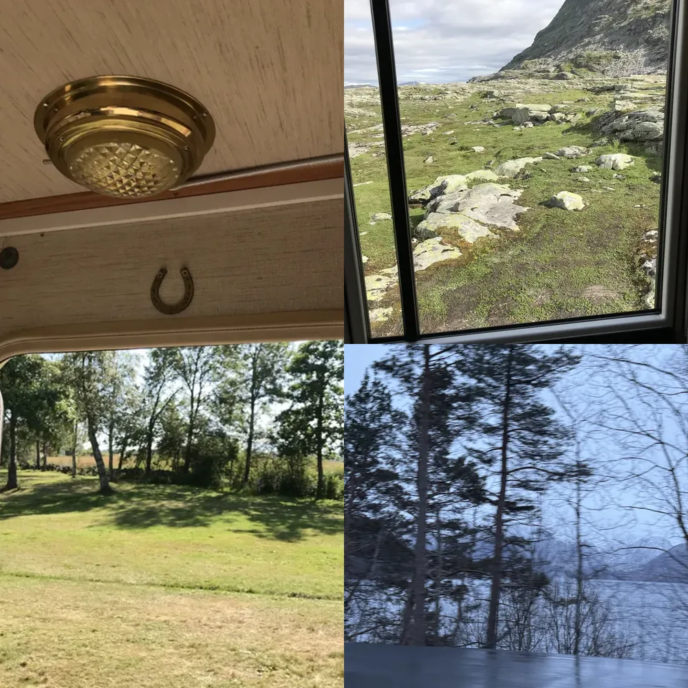 Window Views