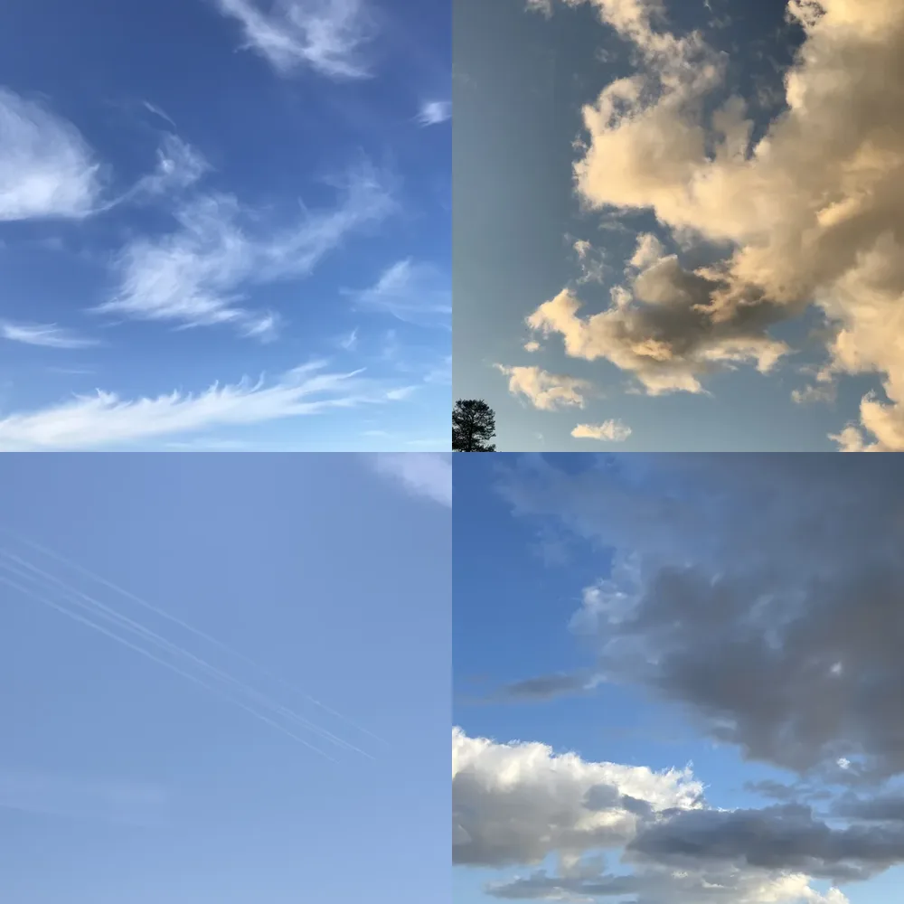Blue Sky Splendor