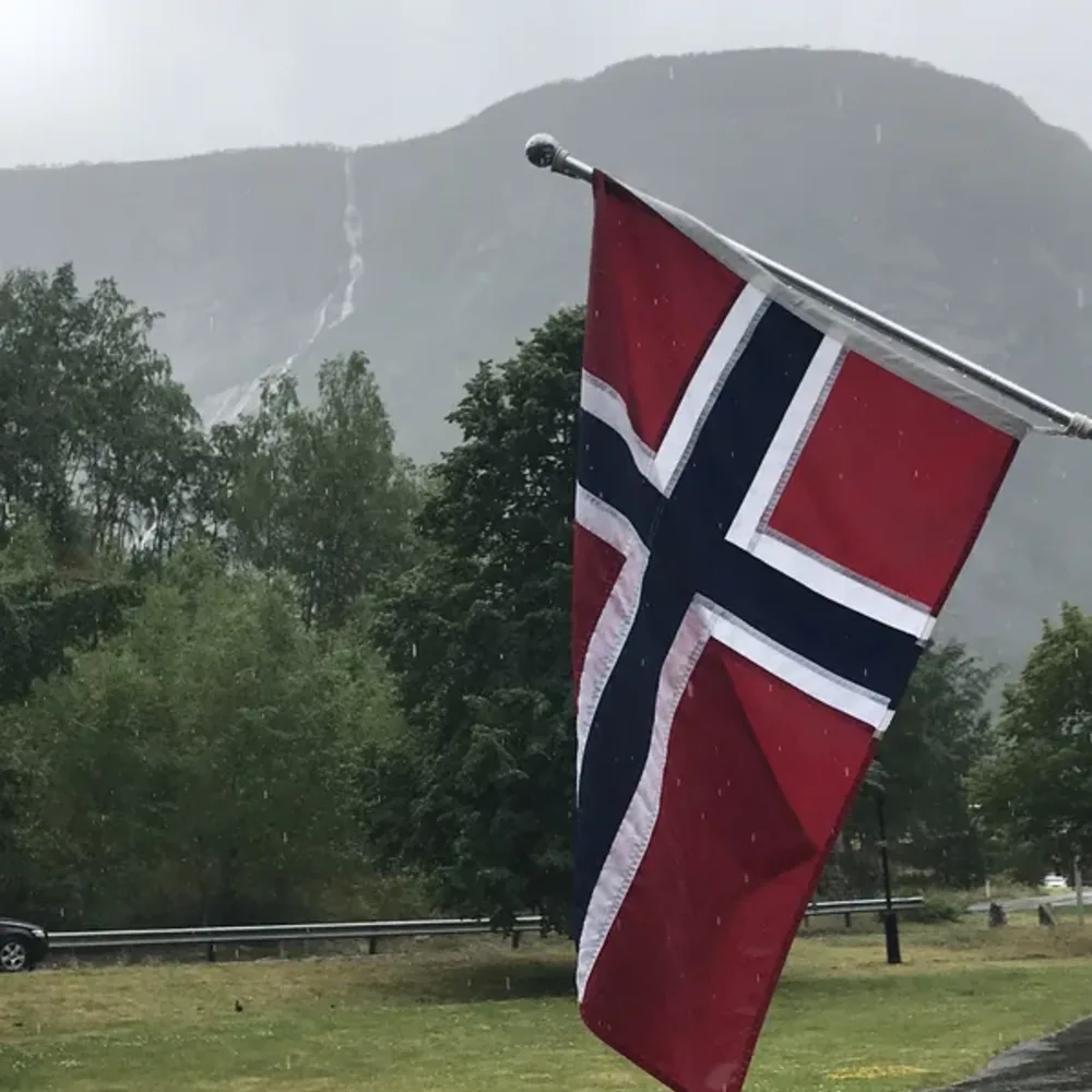 Flags and Scenic Views