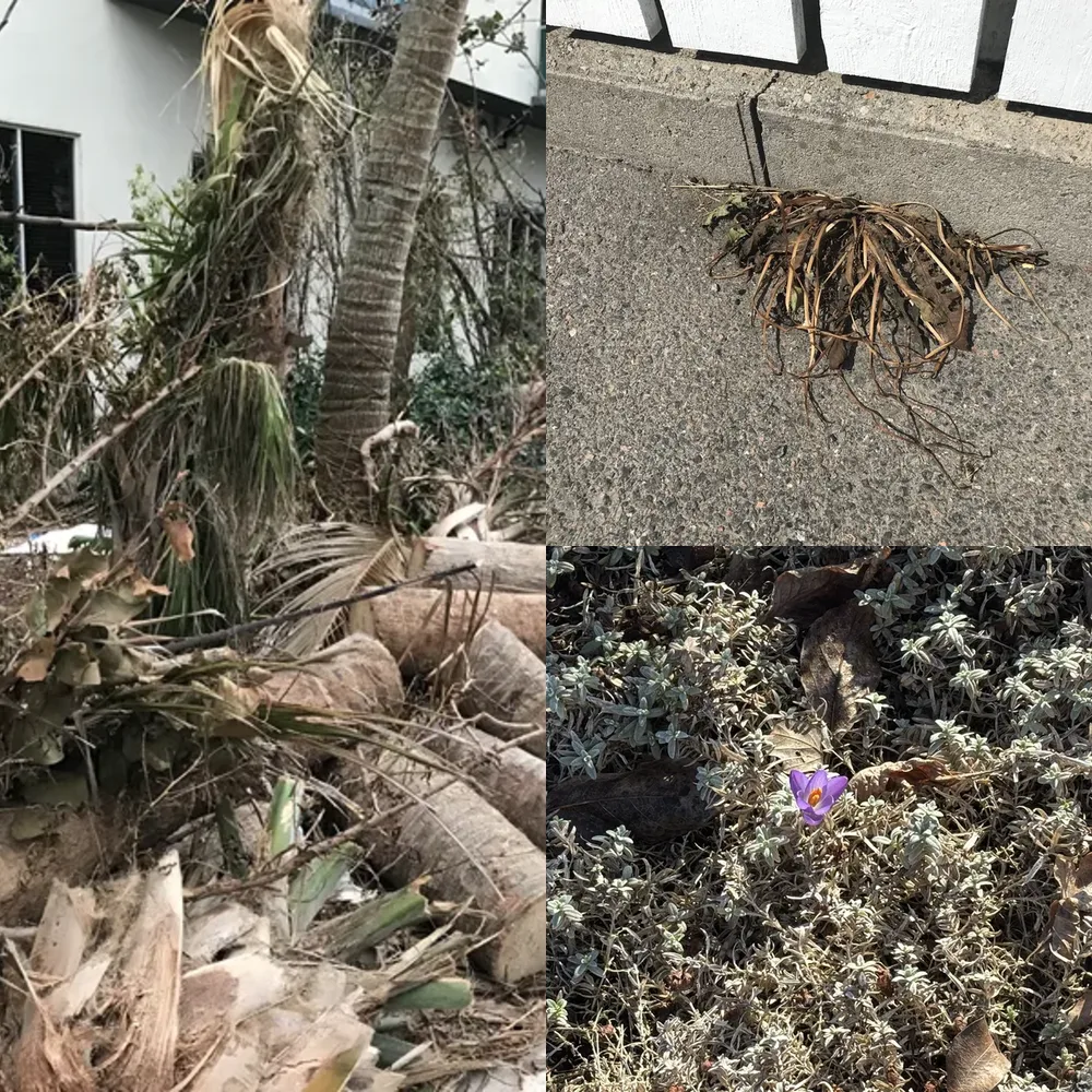 Nature on the Ground