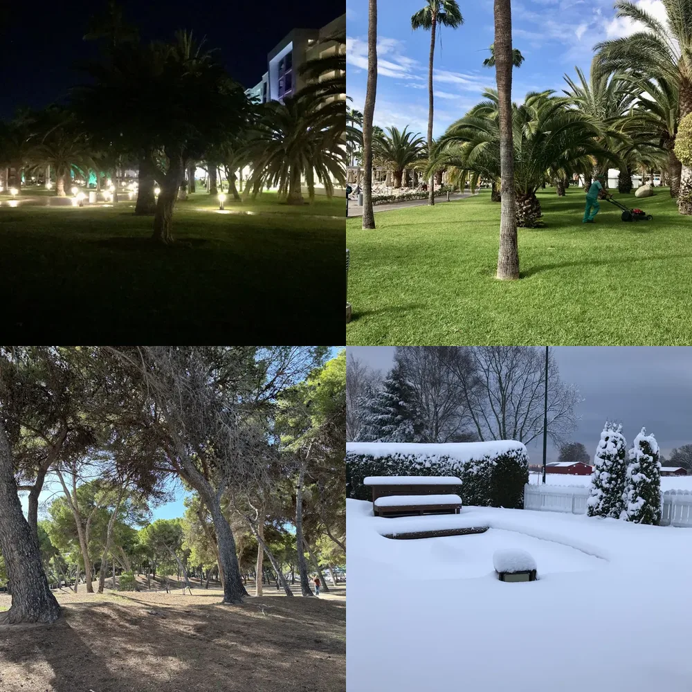 Park Scenes