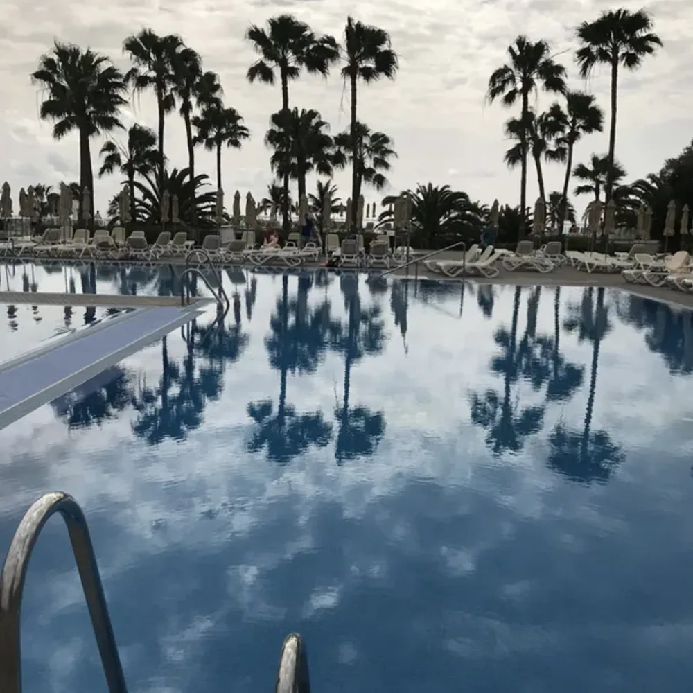 Poolside Serenity