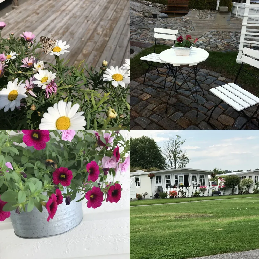 Porch and Garden