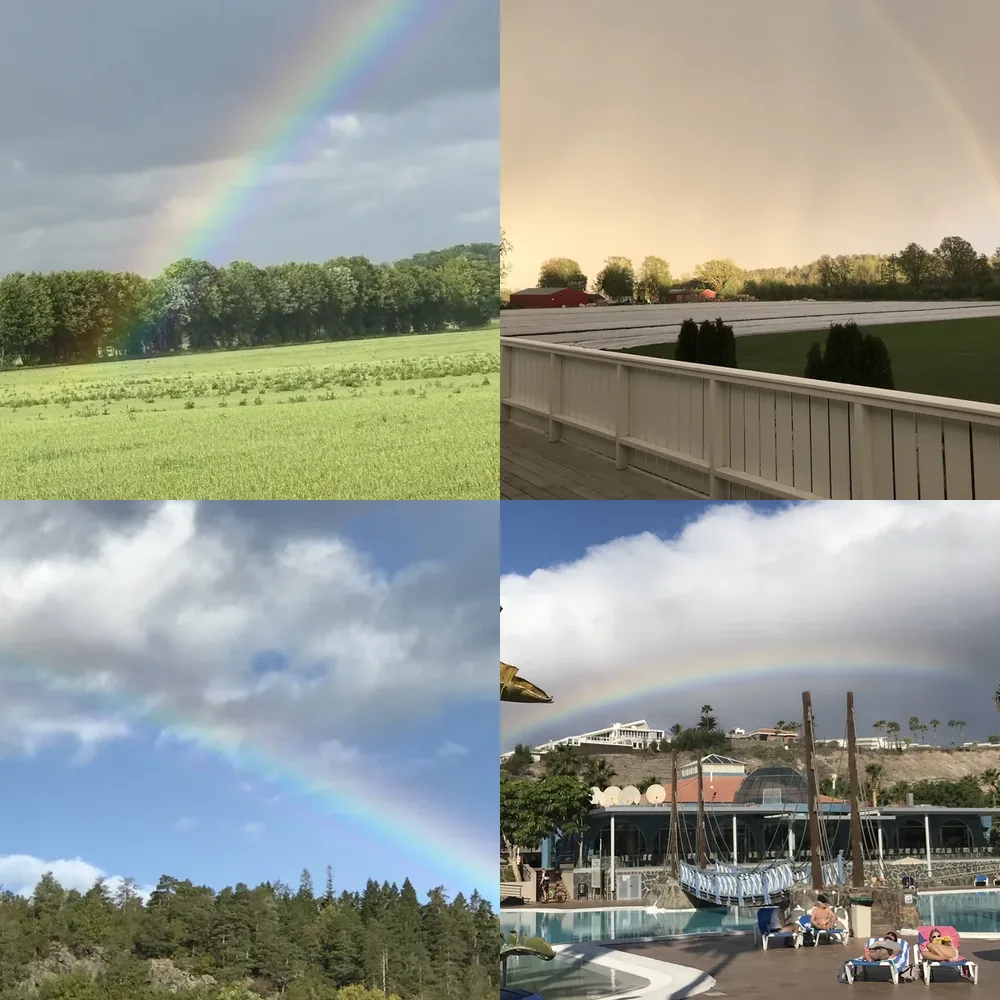 Rainbows and Forests