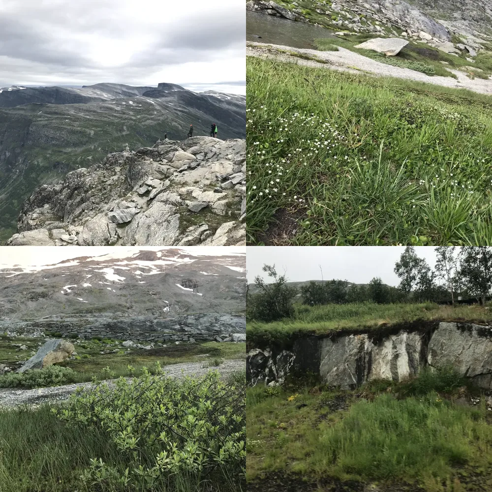 Rocky Hills and Domes