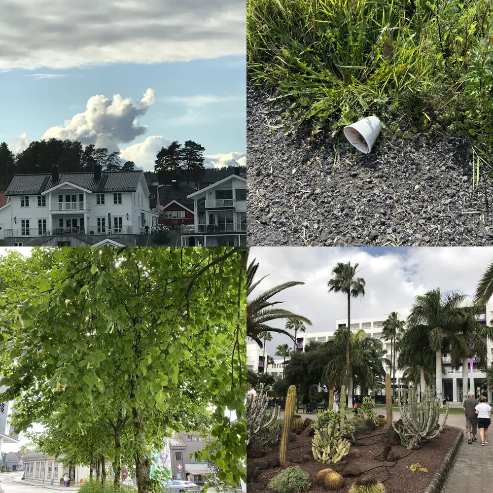Urban Greenery