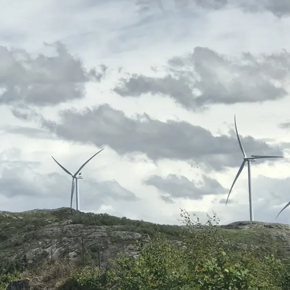 Wind Farms and Turbines