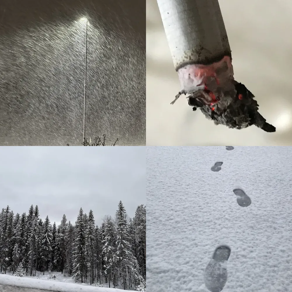 Winter Wonderland