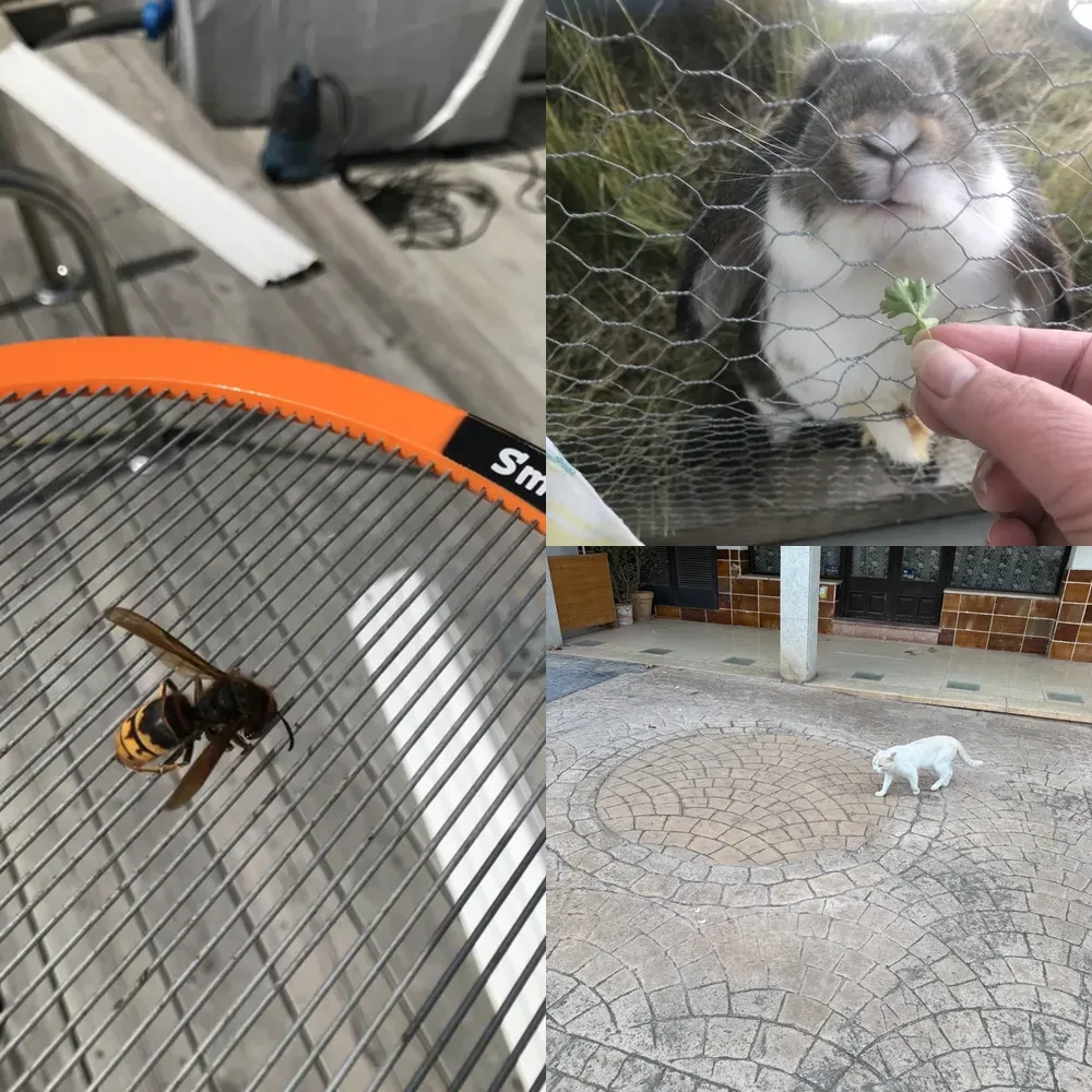 Animal Encounters
