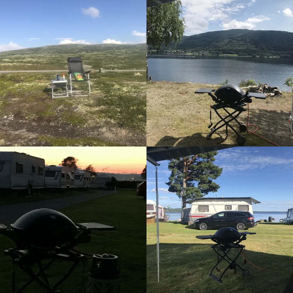 Grilling and Picnics